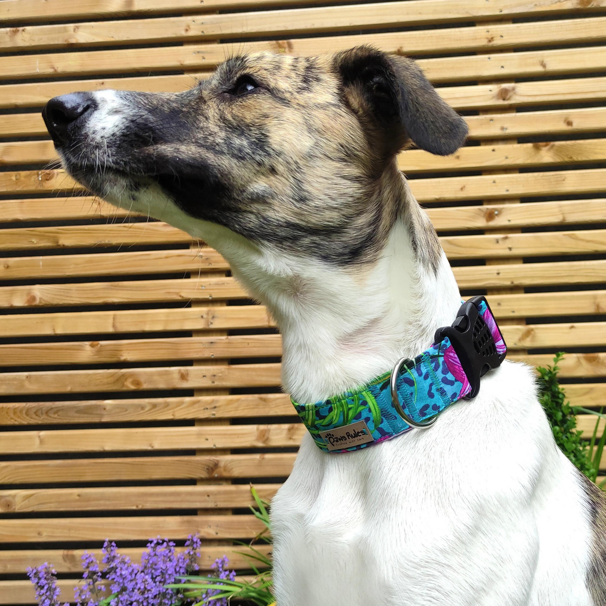 sporting a Tropical Flowers Collar - Embrace the island vibes with this fashionable dog collar featuring tropical blooms.