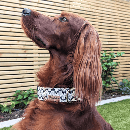 Elegant White Waves Dog Collar - Seen on Red Setters - The perfect pet accessory for fashion-forward dogs, combining style and comfort.